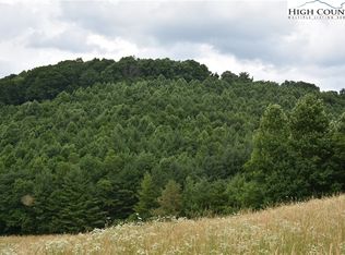 Tbd Big Flatts Church Rd, Fleetwood, NC 28626