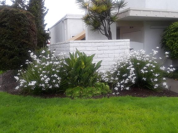 Beautifully landscaped ....lilies in bloom...