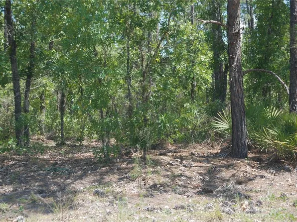 SW 64 Street Rd Lot 7, Ocala, FL 34481