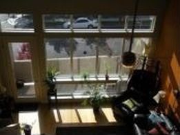 365 Pine St, Reno, NV, 89501