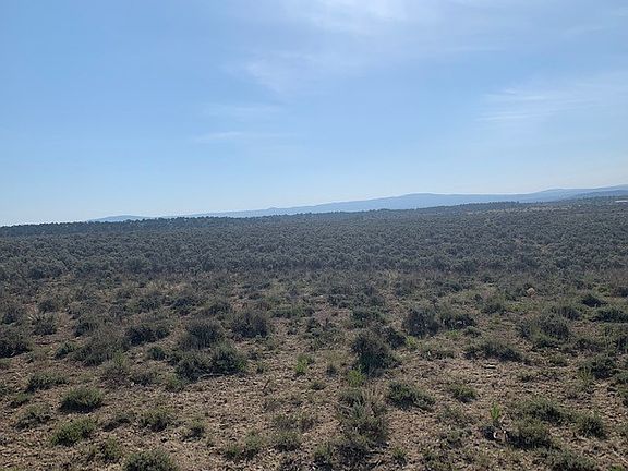 5th image of Vereda De Venados