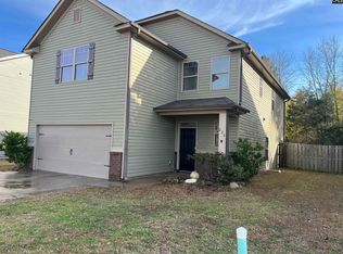 228 Bickley View Ct, Chapin, SC 29036