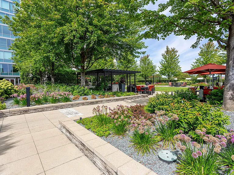 ReNew Oak Park — Photo 65