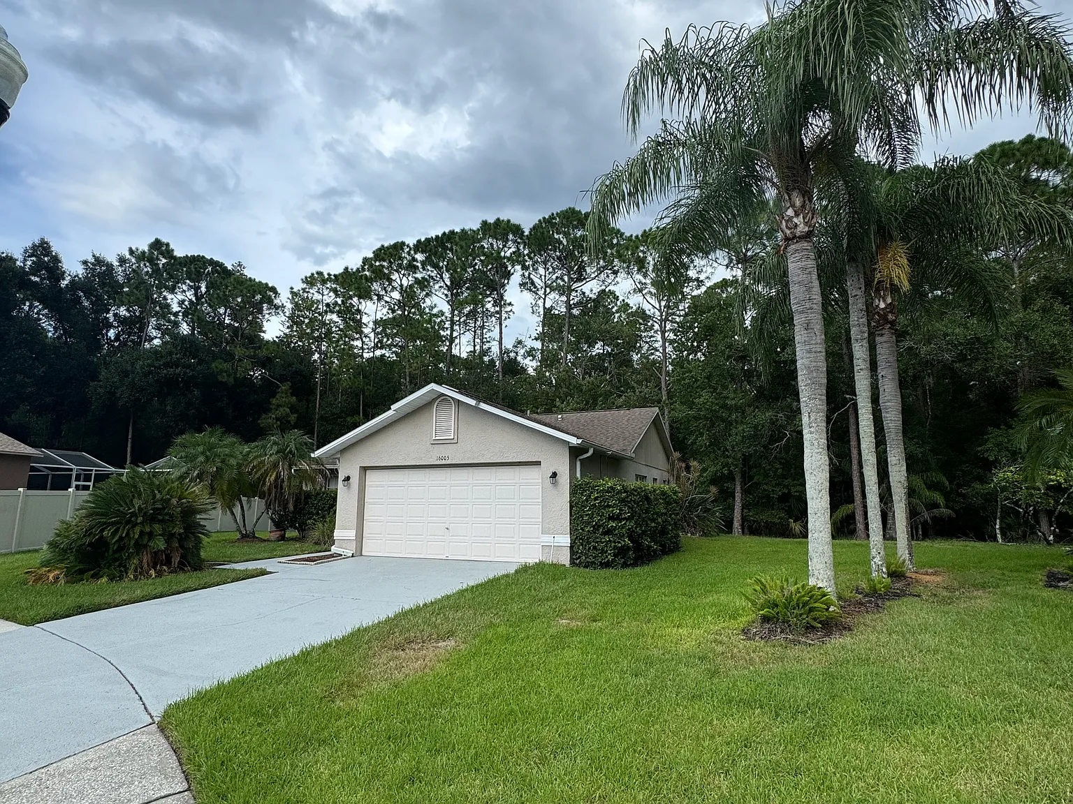 3 bed, 1560 sqft, $3,500 — Photo 4