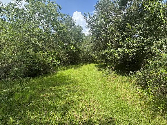4th image of Dewberry Ln