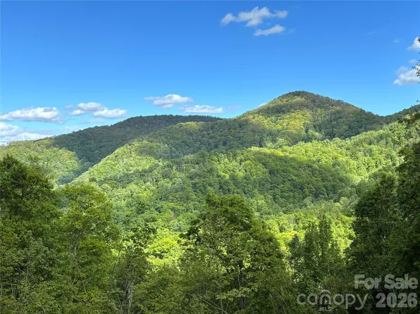 W Lot Meadow Fork Rd, Hot Springs, NC 28743