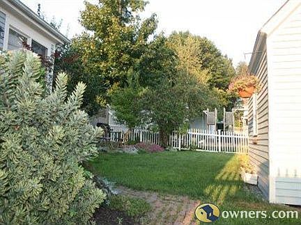 Backyard and Shrubbery