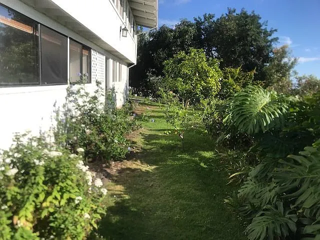 yard