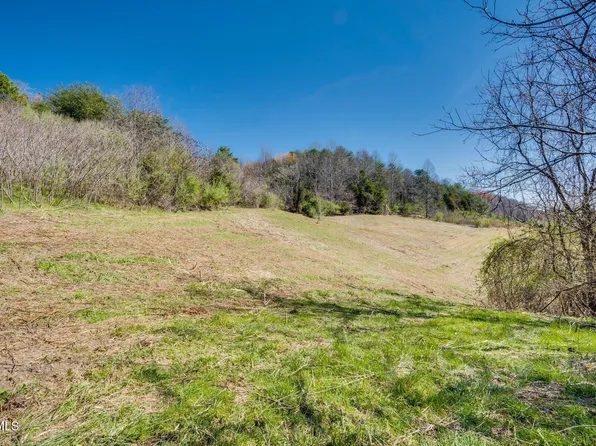 Ivy Valley Rd, Gate City, VA 24251