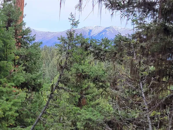 Nhn Tamarack Dr, Seeley Lake, MT 59868