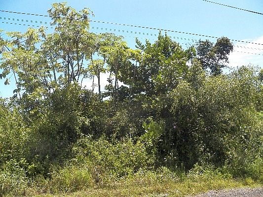 3rd image of 2nd Ave