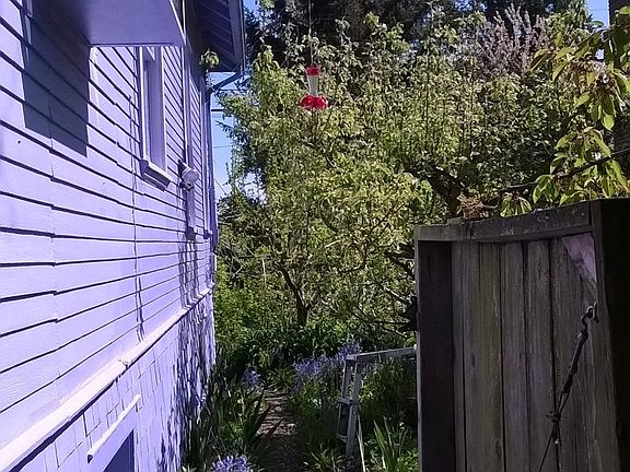Greenhouse window in kitchen and pathway to front yard and street from the backyard.