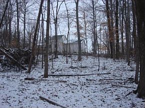 2nd image of 8411 N Blue Spruce Dr