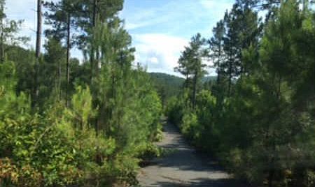 1st image of Grand Vista Dr