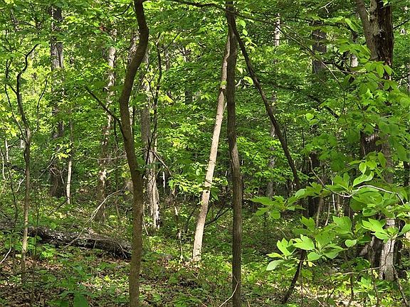 5th image of Tbd Broken Circle Rd