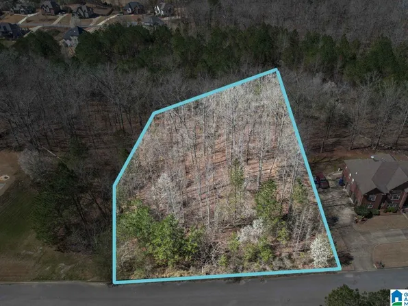 3031 Laurel Lakes Cv #1, Bessemer, AL 35022
