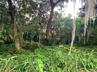 Bloomfield Ave PARCEL 7, Yalaha, FL 34797