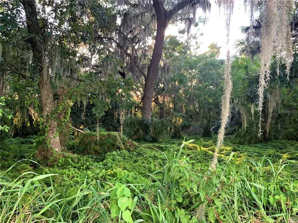 County Road 48 Parcel 9, Yalaha, FL 34797