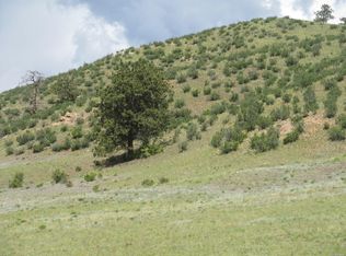 1505 Jefferson Rd, Hartsel, CO 80449