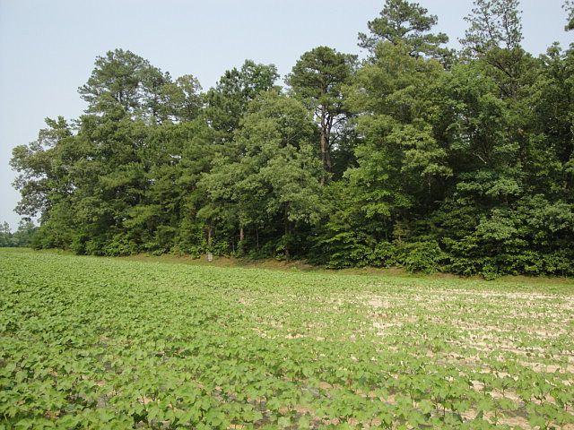 1st image of 6.19 Acres Kingsale Road