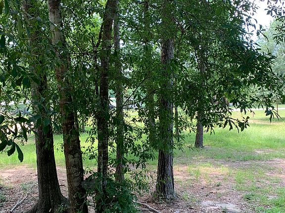 Lots of shade trees in front