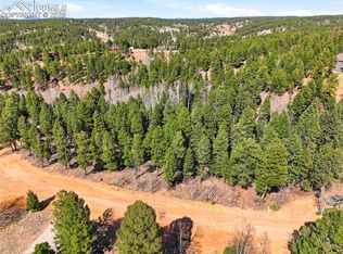 278 Cherry Lake Dr, Divide, CO 80814