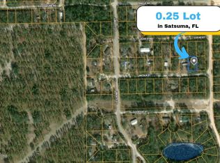 116 Lincoln St, Satsuma, FL 32189