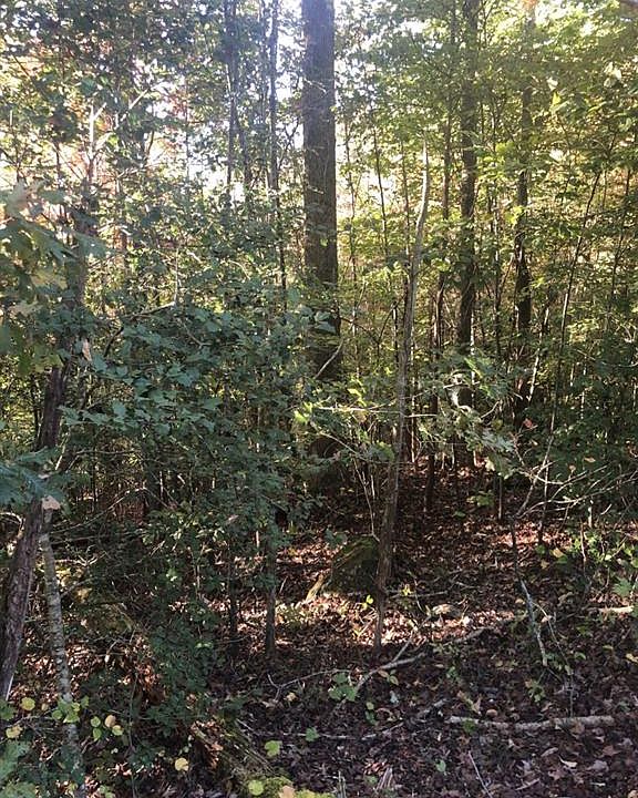2nd image of 46 Deer Acres Dr Lot 0