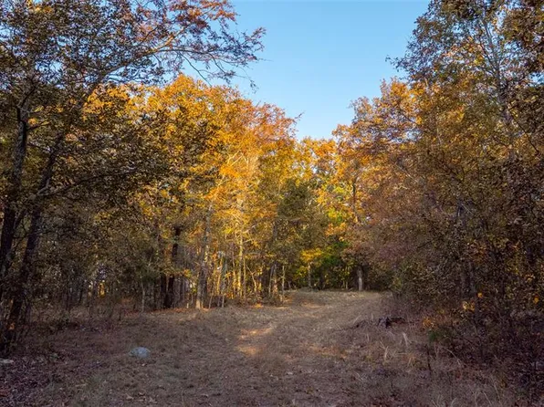 0 County Road 137, Annapolis, MO 63620