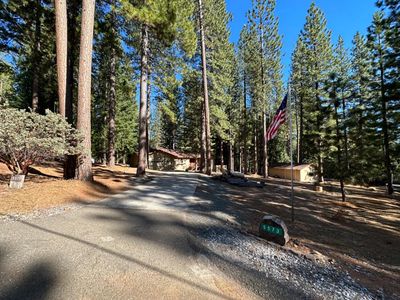 5573 Wildrose Dr, Grizzly Flats, CA, 95636