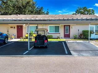 2228 GREENHAVEN DRIVE #384, SUN CITY CENTER, FL 33573