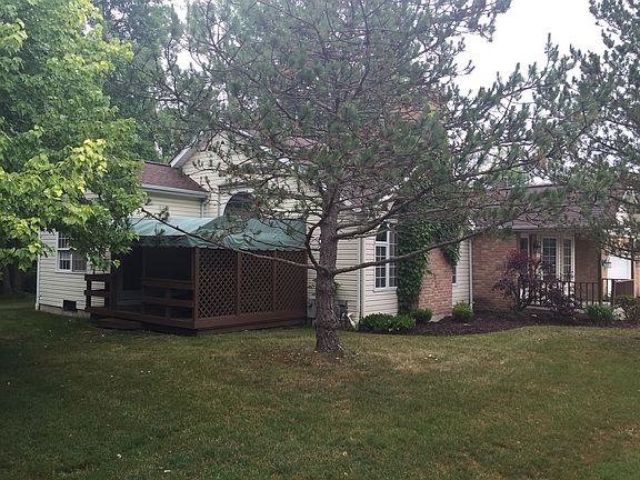 Back Lawn