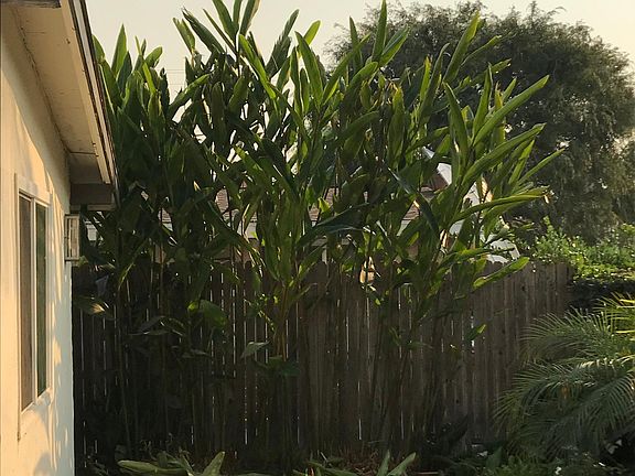 2nd image of 640 Beach St