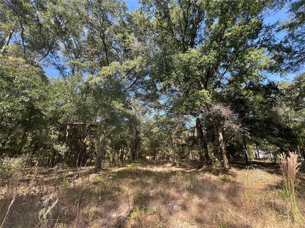 13465 SW 100th St, Dunnellon, FL 34432