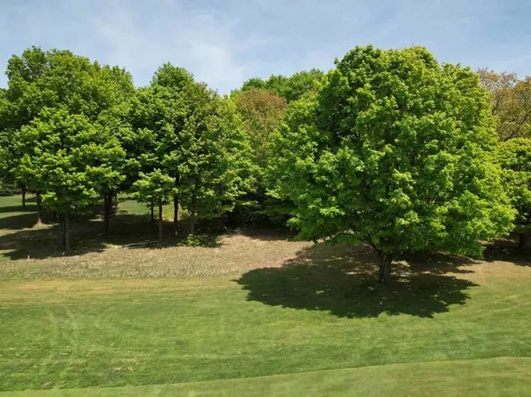 LOT 69 Lost Woods Dr, Boyne City, MI 49712