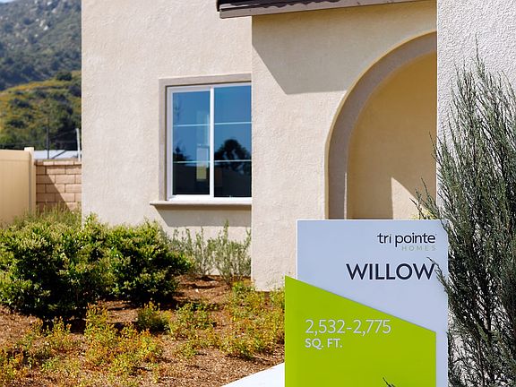 Willow Plan 5