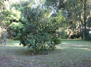 310 N Oak Ave, Orange City, FL 32763