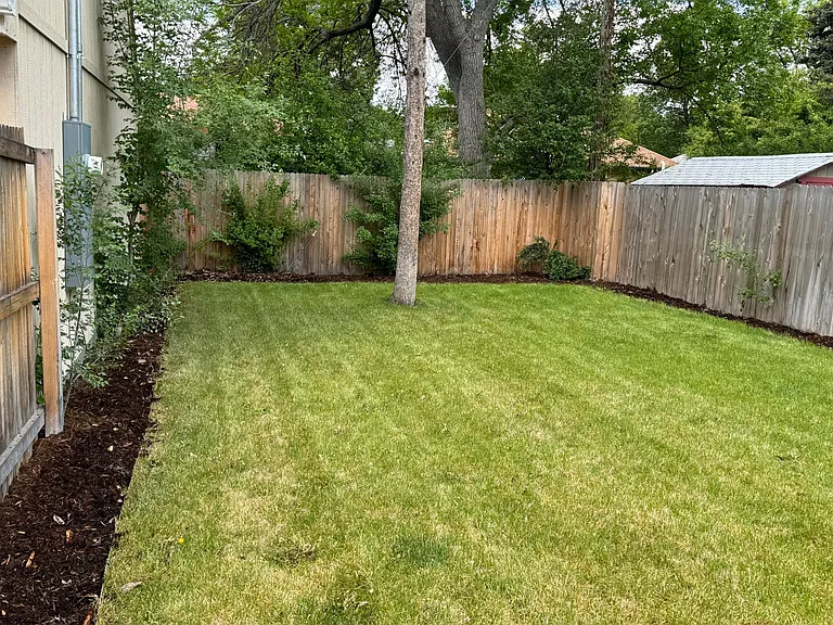 back yard with new sod and fence.
