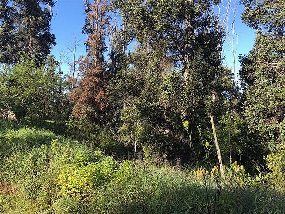 3rd image of King Kamehameha Blvd Lot 12