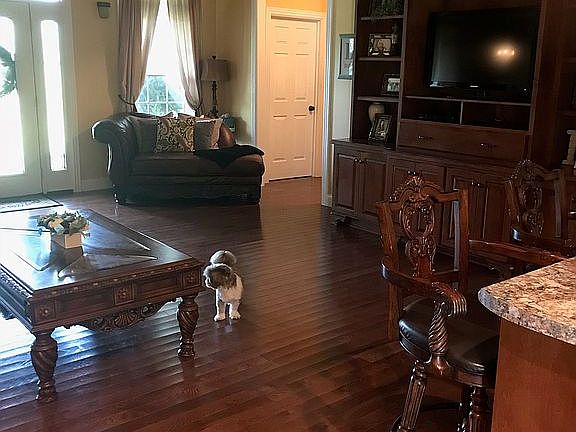 2nd image of 101 Deer Park Dr