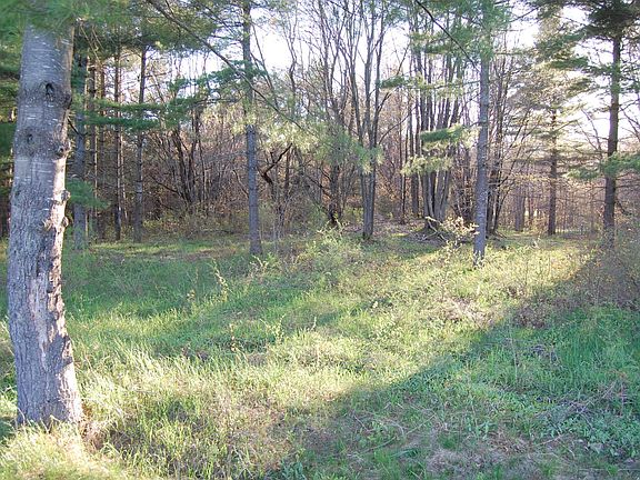 3rd image of 4345 Arthur Hills Dr #2