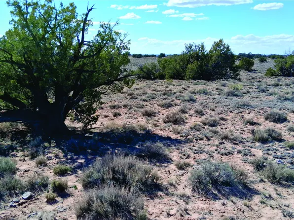 Unnamed Rd, Sanders, AZ 86512