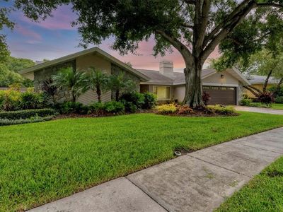 4302 Deepwater Ln, Rocky Point, FL, 33615