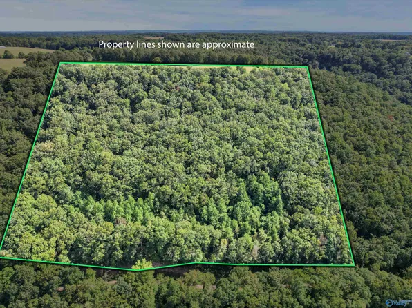 15 Shin Point Rd, New Hope, AL 35760