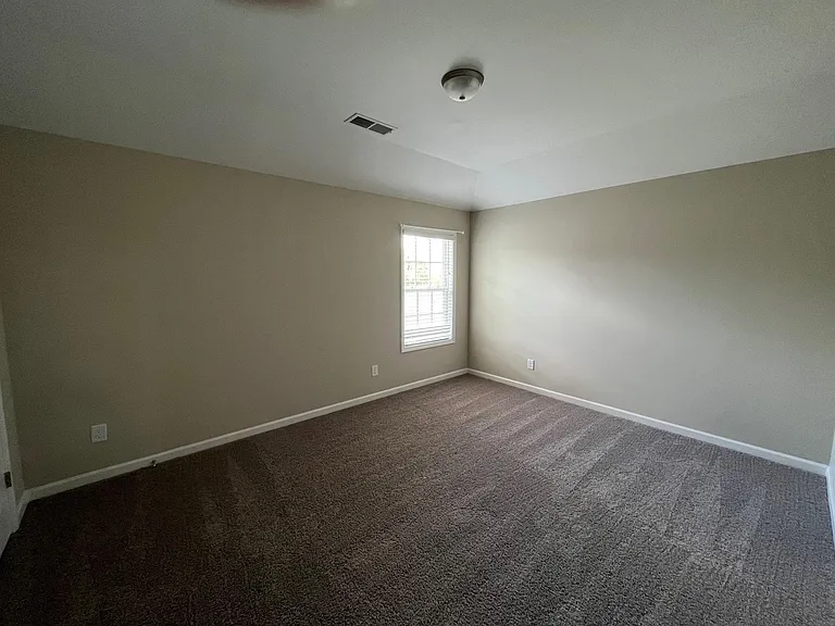 161 Hart Preserve Dr — Photo 14