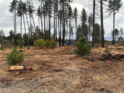 1439 Powell Ln, Paradise, CA, 95969