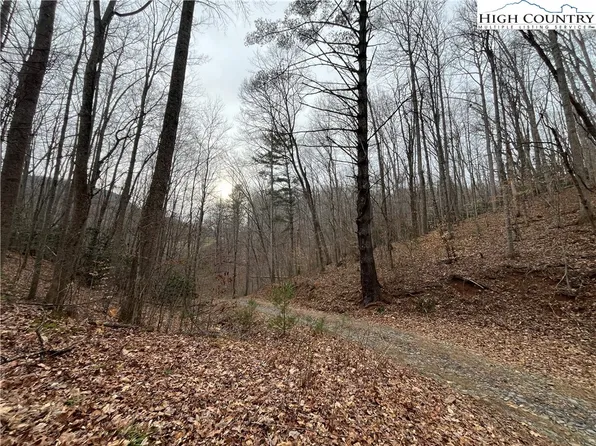 TBD Ginger Mountain Lane, Warrensville, NC 28693