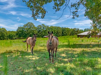 1611 Chisholm Rd, Cypress Inn, TN, 38452