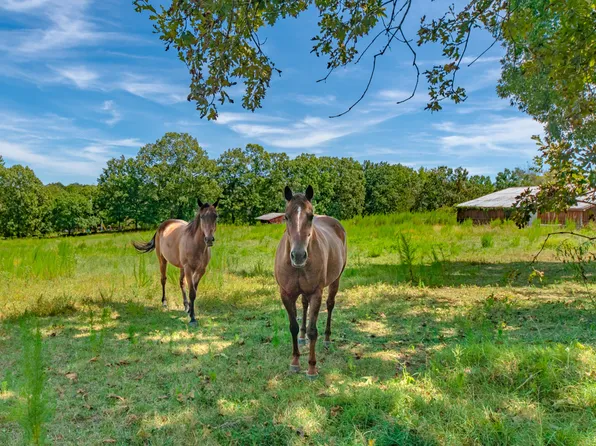 1611 Chisholm Rd, Cypress Inn, TN 38452