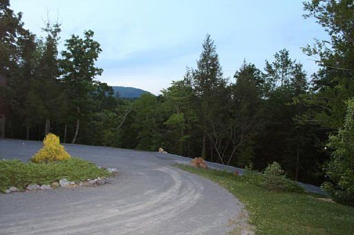 2nd image of Bear Crossing Way